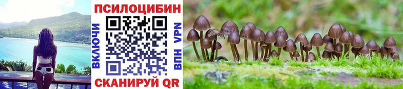 кракен как войти  что такое   Кузнецк  Псилоцибиновые грибы мицелий 