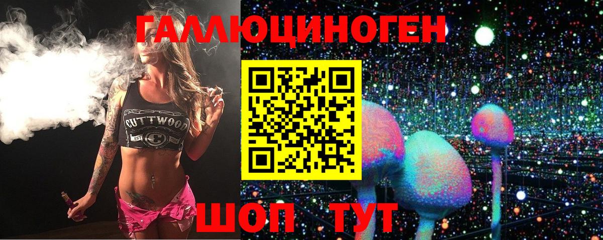 Галлюциногенные грибы Psilocybe Кузнецк